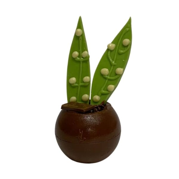 Muguet Praliné – Image 2